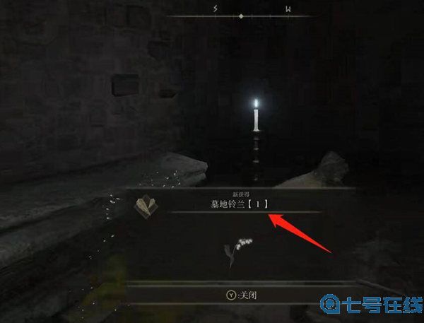 艾尔登法环墓地铃兰在哪里刷?