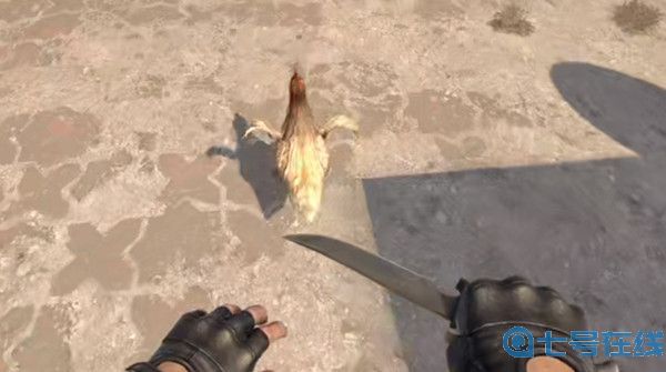 csgo怎么养鸡 csgo里面的鸡怎么驯养[多图]图片1