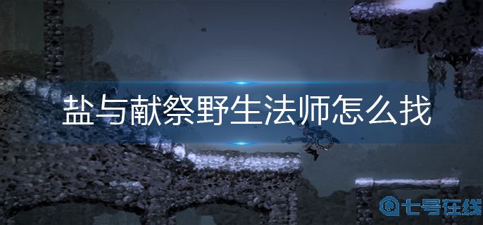 盐与献祭野生法师寻找方法