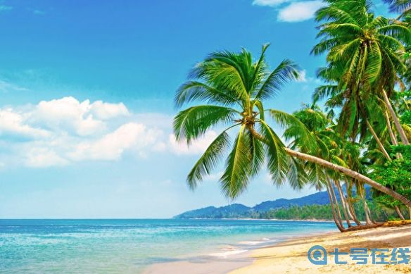 《宝可梦 GO》夏日抽奖活动 头奖竟是夏威夷双人之旅