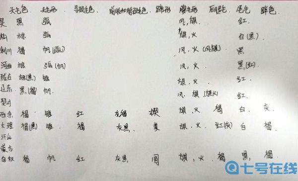 这就是江湖相马攻略