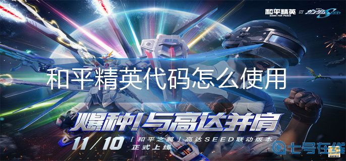 和平精英代码使用方法