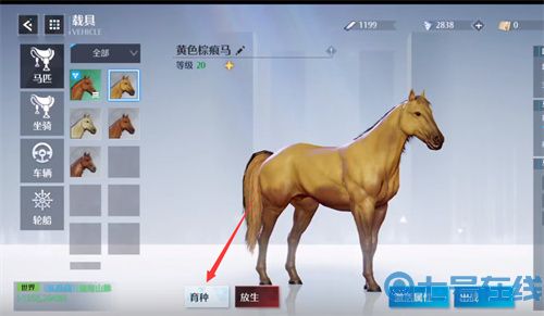 诺亚之心马怎么培育 马匹育种方法介绍