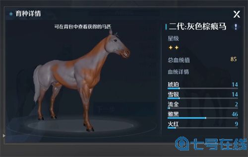 诺亚之心马怎么培育 马匹育种方法介绍