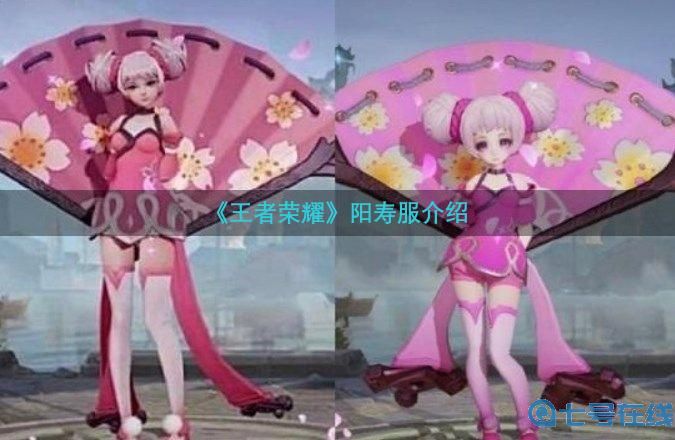 《王者荣耀》阳寿服是什么意思