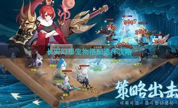 长安幻想宠物搭配选择攻略