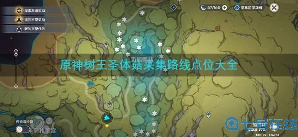 原神树王圣体菇采集路线点位大全