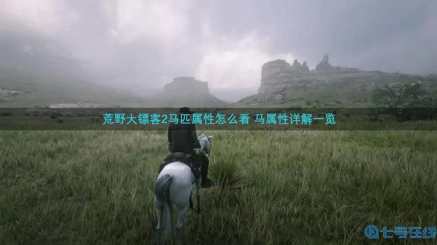 荒野大镖客2马属性详解一览