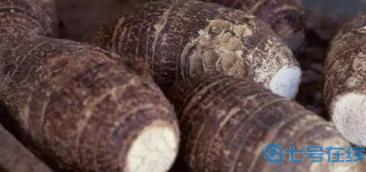 2023《支付宝》蚂蚁庄园11月23日每日一题答案(2)