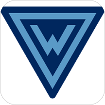 网眼舆情最新版