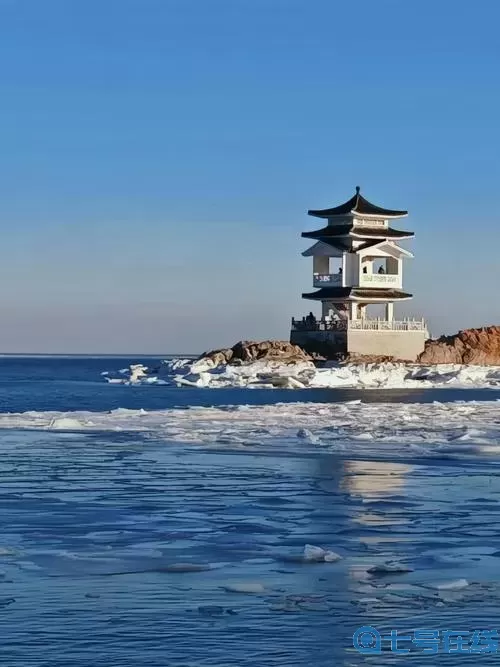 长生祭洛细雪喜欢山海鸣 山海纪之龙缘乐越喜欢谁