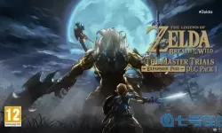 荒野之息欧版封面 旷野之息封面