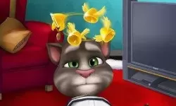 我的汤姆猫推广代码是多少？汤姆猫跑酷的代码是什么？