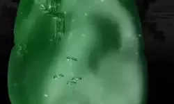 翡翠大师旧版本 翡翠大师无限金币版本