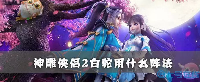 神雕侠侣2郭芙传攻略 神雕侠侣之郭襄i传