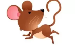 枪林弹雨打一正确生肖 欲钱找枪林弹雨的生肖