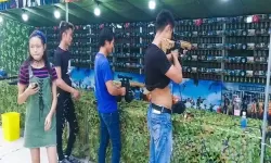 枪林弹雨如何加好友？枪林弹雨为什么凉了？