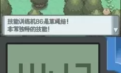 口袋之旅超克的时空攻略 超克的时空希娜