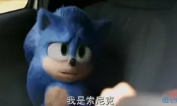 刺猬索尼克2里面的黑刺猬 刺猬索尼克全部人物