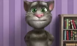 我的汤姆猫老版本2014 我的汤姆猫2老版本大全