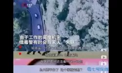 枪林弹雨封禁名单 枪林弹雨图片