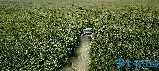 星际穿越诺兰 《星际穿越》完整介绍