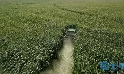 星际穿越诺兰 《星际穿越》完整介绍