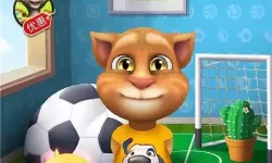 我的汤姆猫有多少级？我的汤姆猫2一亿金币