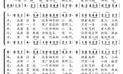 枪林弹雨军民隔不断歌词 枪林弹雨下一句是什么？