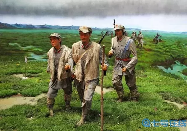 枪林弹雨什么生肖？枪林弹药打一生肖