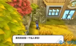 掌机小精灵超梦位置 精灵宝可梦全体女角色脸红