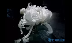 长生祭日 长生祭真相