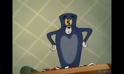 我的汤姆猫短片关灯喽 汤姆猫短片全集