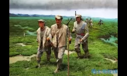 枪林弹雨什么生肖？枪林弹药打一生肖