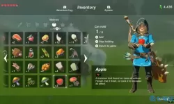 荒野之息战斗技巧 荒野之息隐藏十大技巧