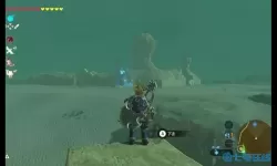 荒野之息风弹 塞尔达传说荒野之息飞弹