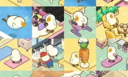 肥鹅健身房猫窝点几下消失？肥鹅健身房小猫窝攻略