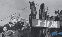 枪林弹雨出自哪里？枪林弹雨在哪里租号？