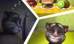 我的汤姆猫无限金币无限钻石版本 我的汤姆猫19.9亿金币