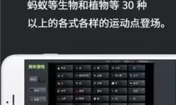 粉末游戏鸟有什么用？粉末游戏