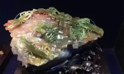 翡翠大师陈金水的作品什么价？翡翠回收价格一览表