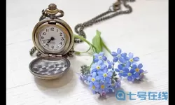 枪林弹雨比喻哪个生肖？枪林弹雨是什么生肖好？