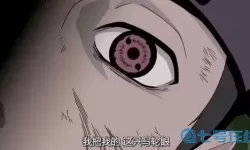 狙击精英绝对反击在线观看 狙击精英绝对反击下载