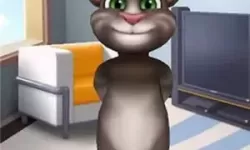 我的汤姆猫开挂版 我的汤姆猫2无限金币无限钻石