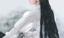 神雕侠侣2凤凰 95版神雕侠侣完整版观看