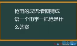 枪林弹雨成语 枪林弹雨打一正确生肖