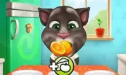 我的汤姆猫V3.0.1老版本下载 我的汤姆猫所有老版本