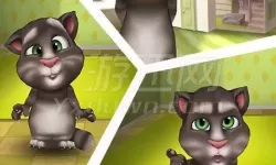 我的汤姆猫不用网络可以玩吗？我的汤姆猫2不用登录