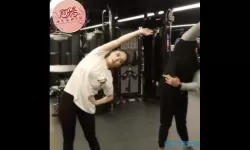 肥鹅健身房几级可以加好友？肥鹅健身房能重新玩吗？