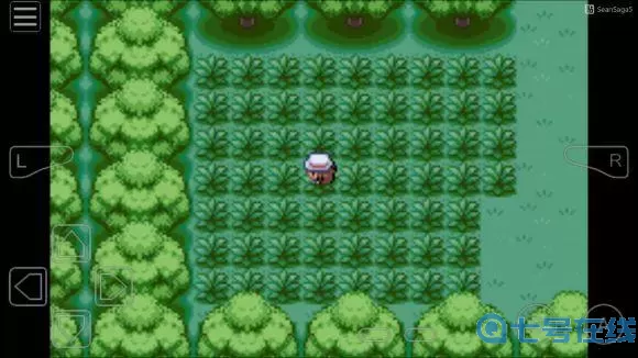 口袋之旅常磐森林攻略 复刻常磐森林抓捕位置